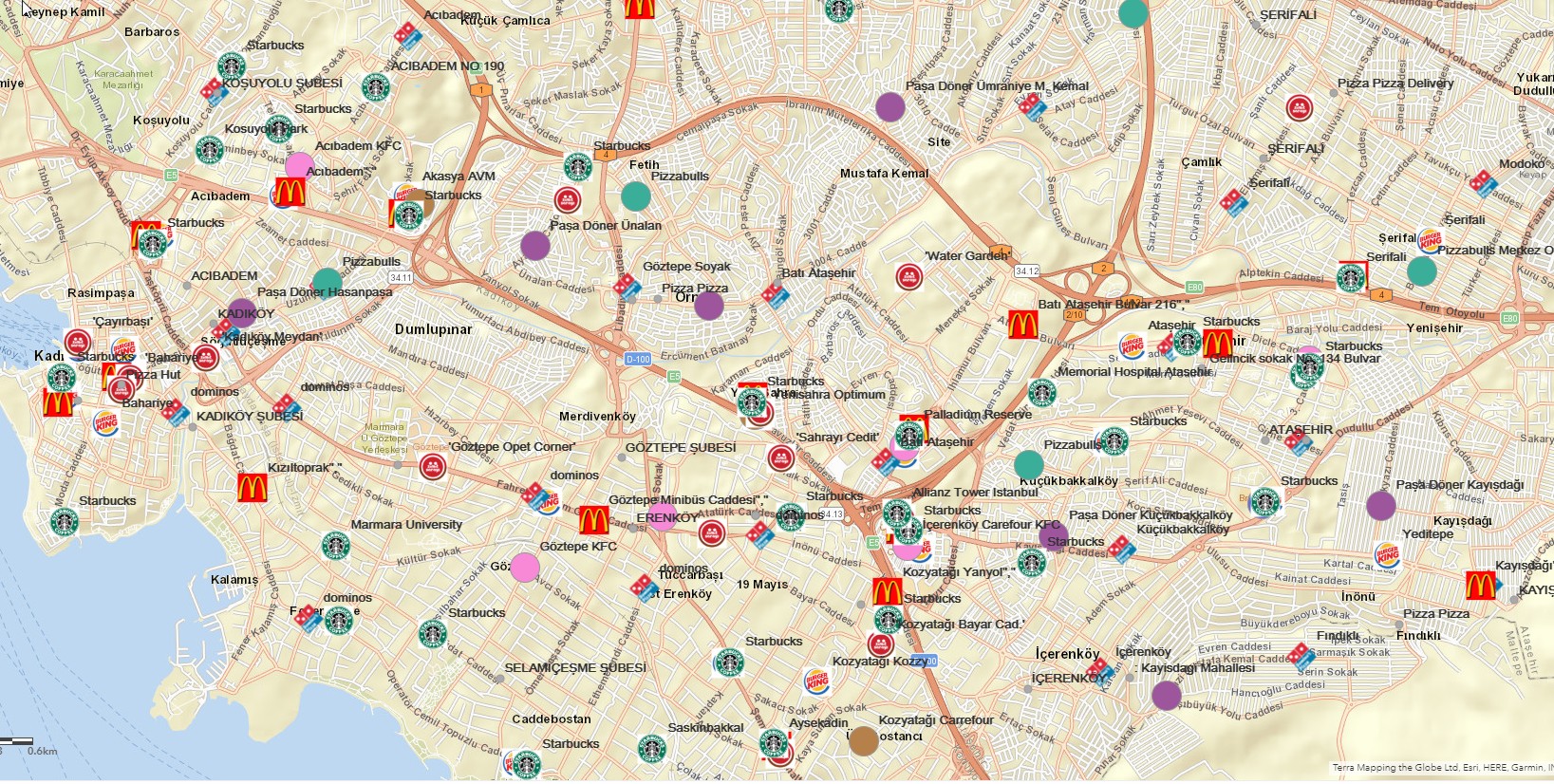 Rakipler logo analizi